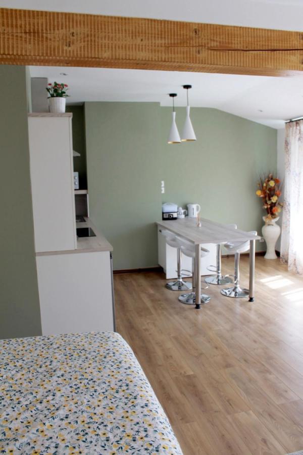 Saint Etienne : Appartement Chateaucreux 40 M2 المظهر الخارجي الصورة