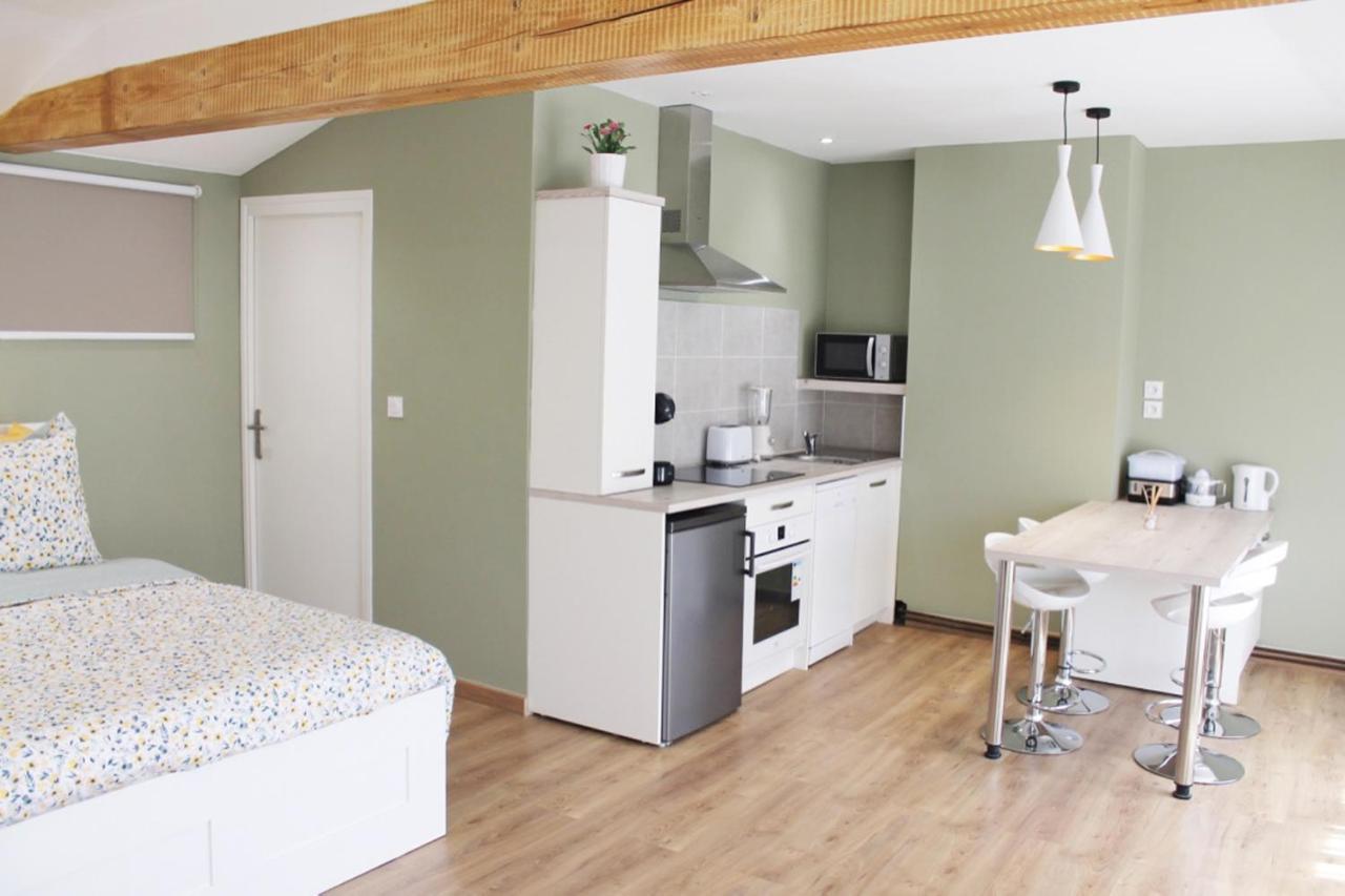 Saint Etienne : Appartement Chateaucreux 40 M2 المظهر الخارجي الصورة