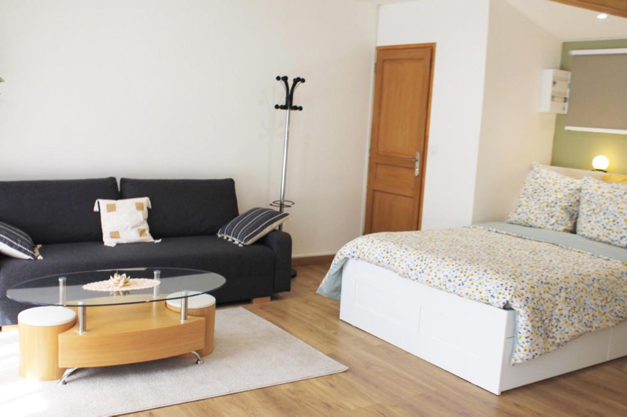 Saint Etienne : Appartement Chateaucreux 40 M2 المظهر الخارجي الصورة